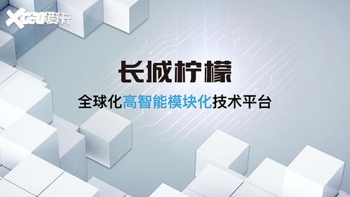 没有大梁科技凑 哈弗大狗越野性能解析与新材料技术赋能