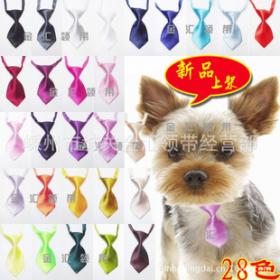 金汇宠物用品加盟费用及详情解析